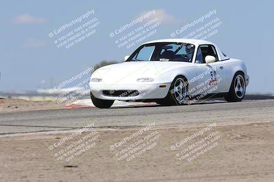 media/Oct-04-2025-OnGrid (Sat) [[44bd565ffa]]/Purple Group/Grapevine/